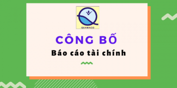Công bố báo cáo tài chính Quý I/2020
