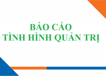 Báo cáo tình hình quản trị Công ty CP Nước sạch Quảng Ninh 2020